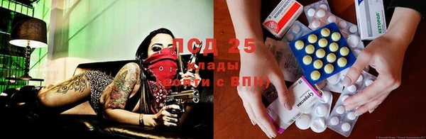 дживик Верея