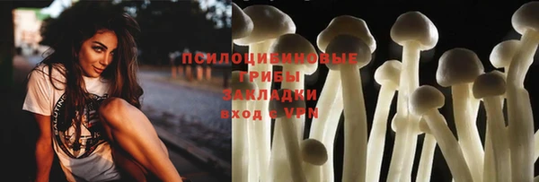 дживик Верея
