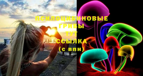 а пвп мука Верхний Тагил