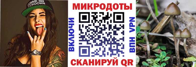 Псилоцибиновые грибы мухоморы  OMG как войти  Карасук 